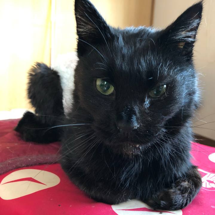 484850c4 e3e9 431a b7bb 7d8725bbb7bf 1646861692987