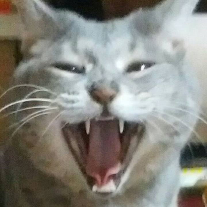 484868c9 86d9 49de bd00 370ce923aeb2 1573892424717