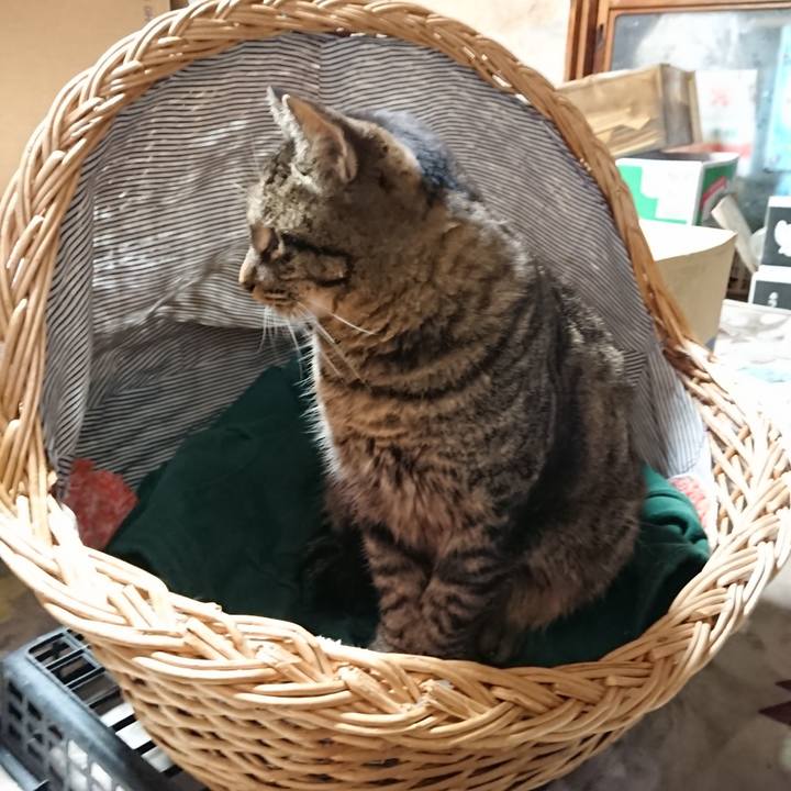 48487bba e22f 489d 86b9 dd7905645670 1640340491908