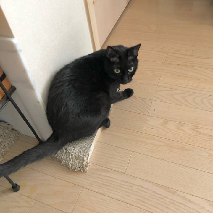 4848bebd ac2b 4454 8199 93b801b15cc5 1620172616373