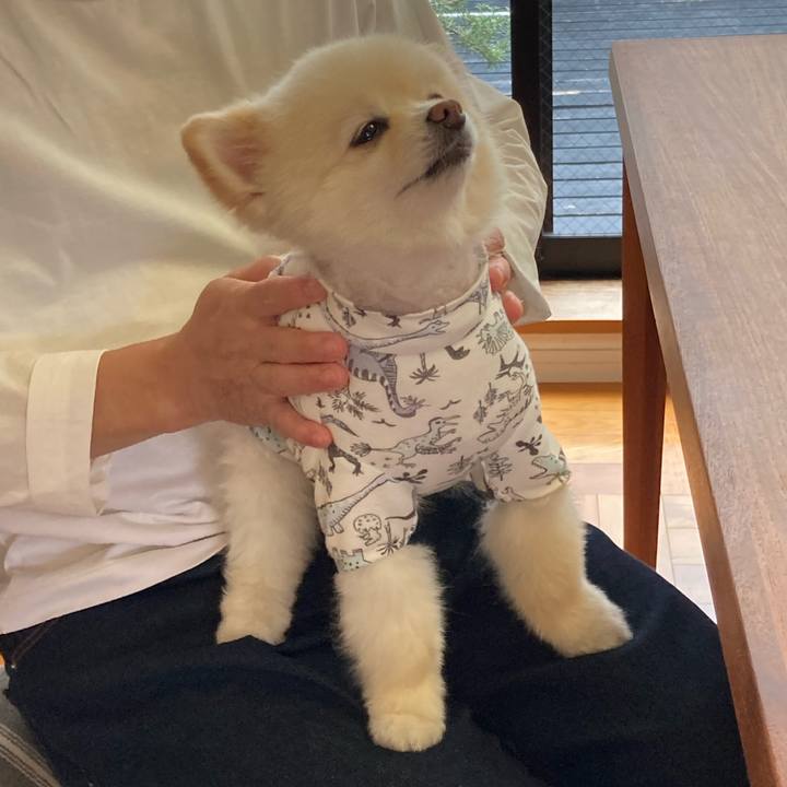 4848bfef 7232 43aa ad0d ff17dd683190 1665275479873