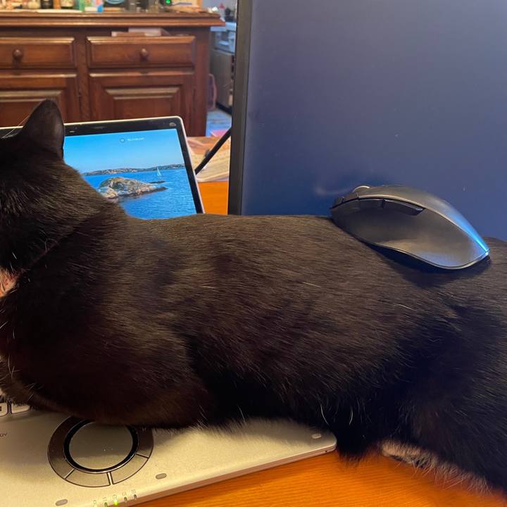 4848d381 b12a 4019 8915 ece7f919e6e4 1675578834510