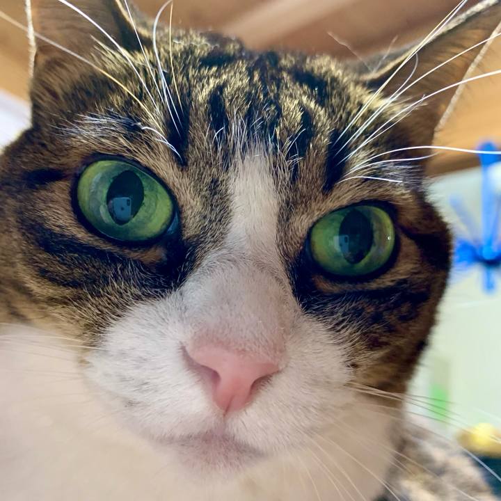 4848ebf0 af56 433d 91b9 2f7b9375c138 1677328722785