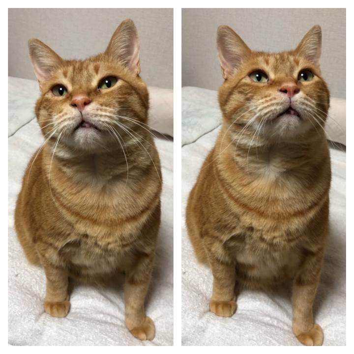 48490c50 f328 4d6b 98f6 bd41457ee212 1615465067779