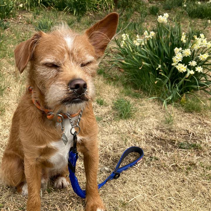 48495bc0 06ed 4dc6 b333 7eb0cb240b5c 1613270699968