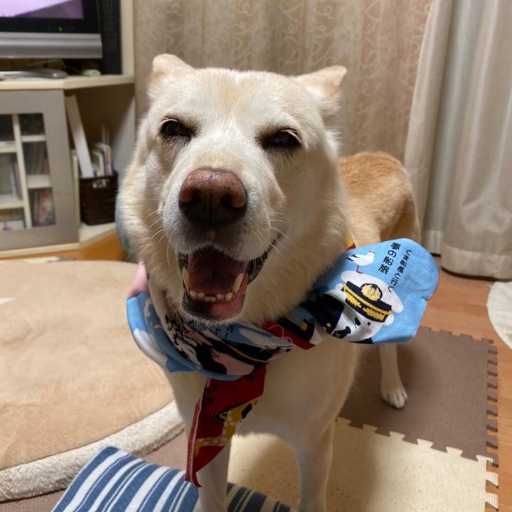 48497abc 052e 430c 82b4 f496be75e36f 1572589278199