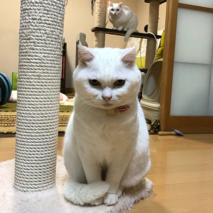 4849ac0d 7f95 4a3c 8123 e265eed59b16 1574682853910