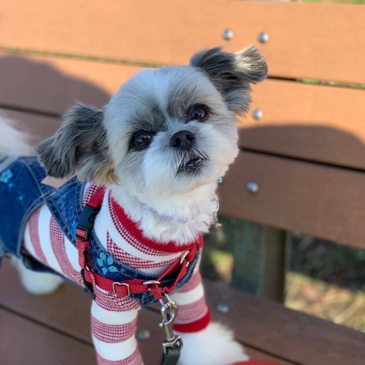 4849e621 2e35 4a63 b2c2 b7cd67f79371 1577803709326