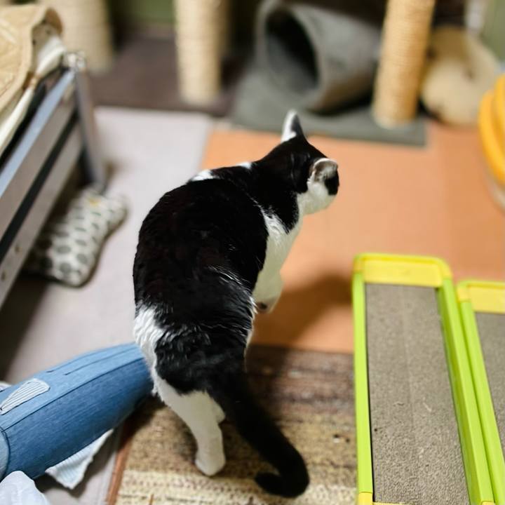 4849ec4a ecd9 482e a697 c06e0836320b 1640568762829