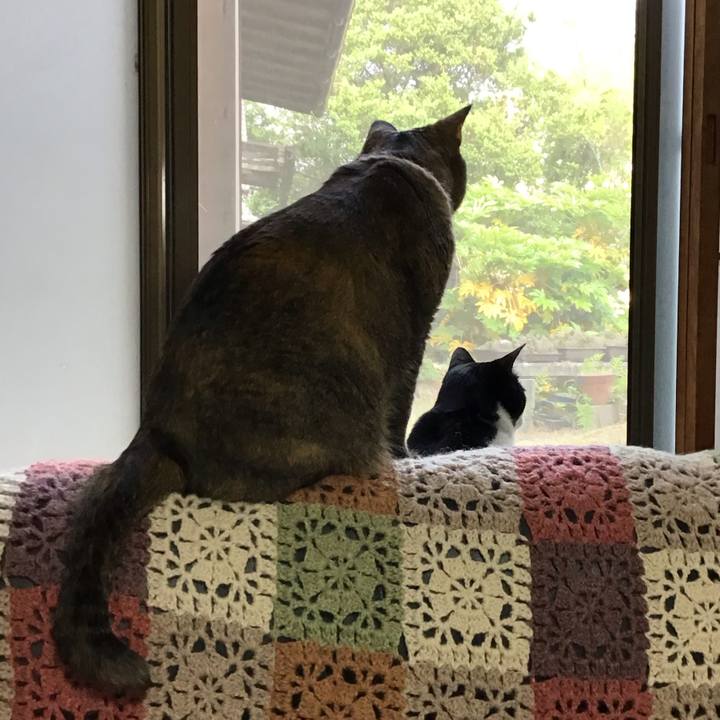 4849f7ff d0f9 47ad 82c6 0d60fc102b9d 1716451571524