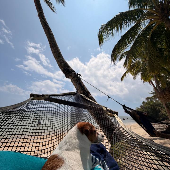 484a10e1 eea7 4642 8cd9 d75cadc8e09e 1766818861523