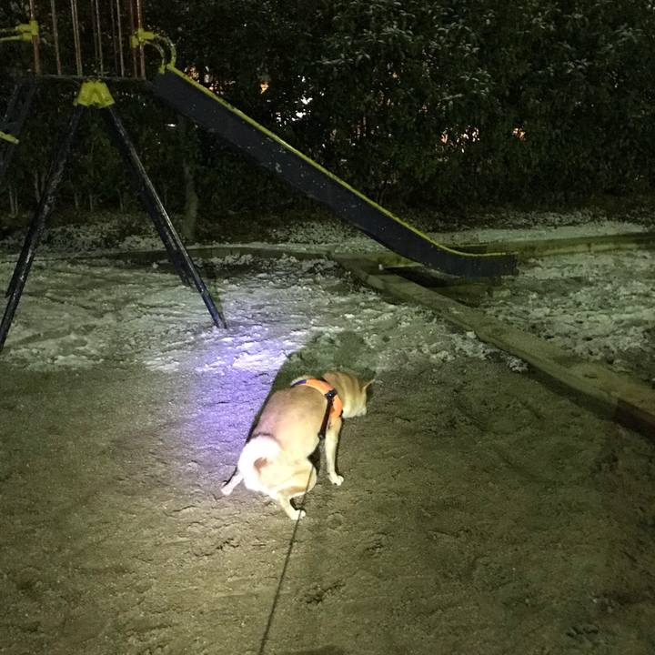 484a1f7b 6477 472b 8bde 11c337b779bb 1516969463329