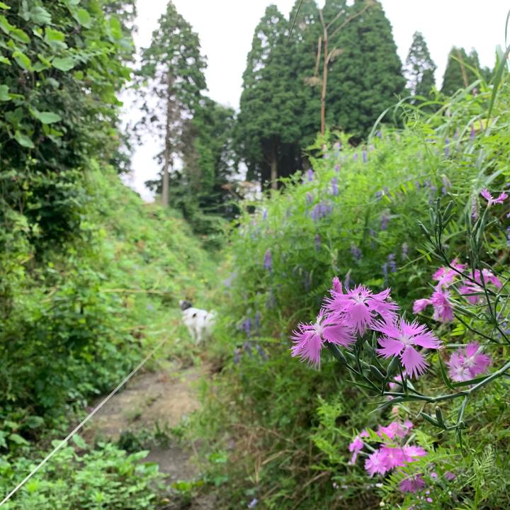 484a338e 83d7 4101 9606 ecf435266847 1565678027991