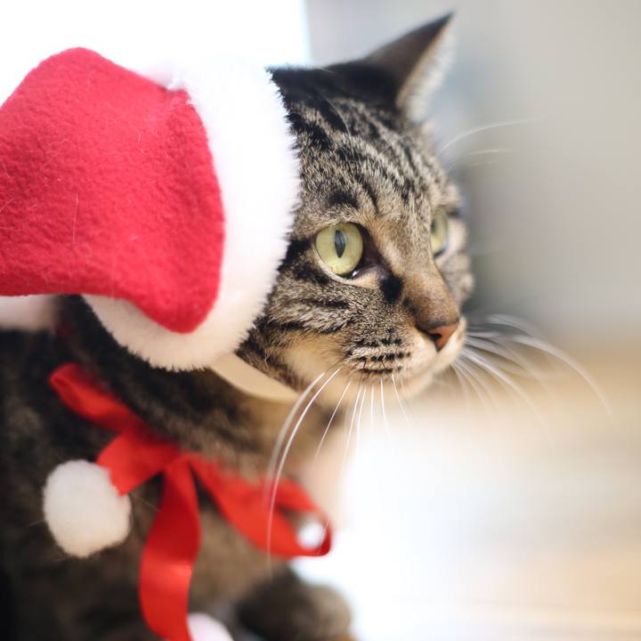 484a6eed de3c 4576 9ef6 8aef3c04c3fb 1671844453721