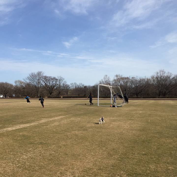 484a9f51 6891 47f0 bcdc 14aace1f64d6 1549791755795