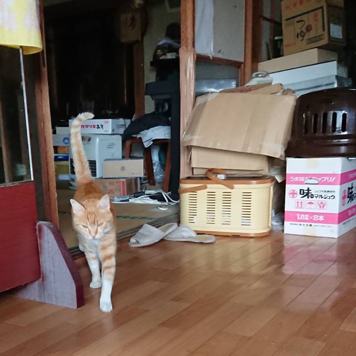 484aa163 4cf0 4904 a2a2 b739101bae57 1593681611968