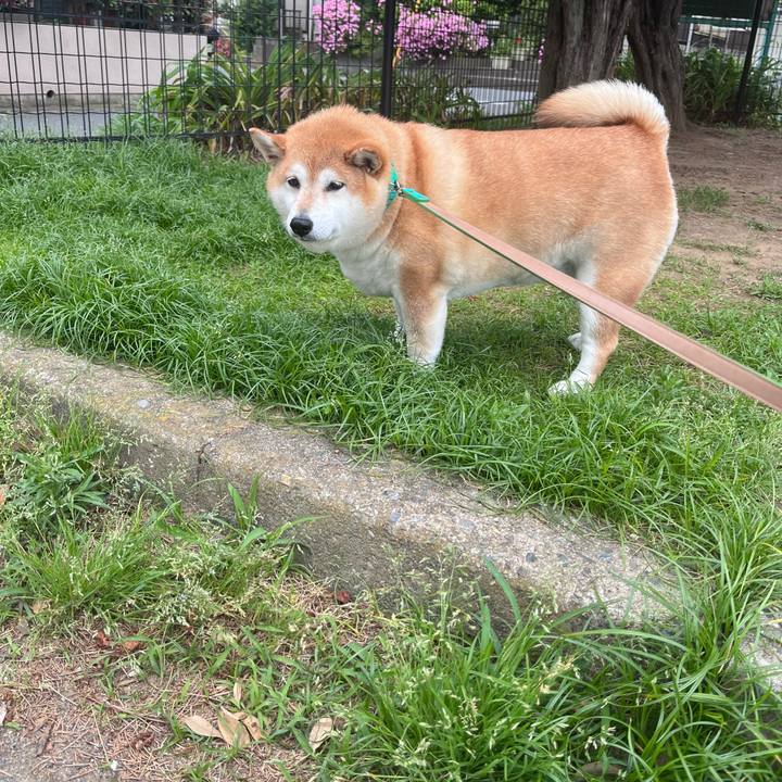 484ad816 26c8 4747 bfaf a64fff728fe4 1684984690969