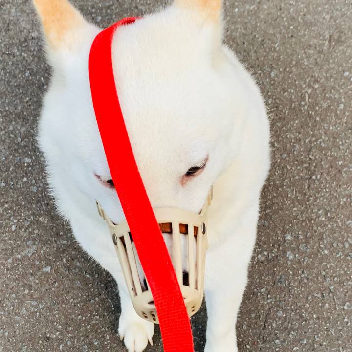 484aeba6 ce53 45c5 8fc6 08e5b101d70f 1566514698428