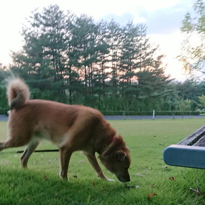 484b2320 44c1 4ecd afc1 17e9b4d4ee11 1633747128797