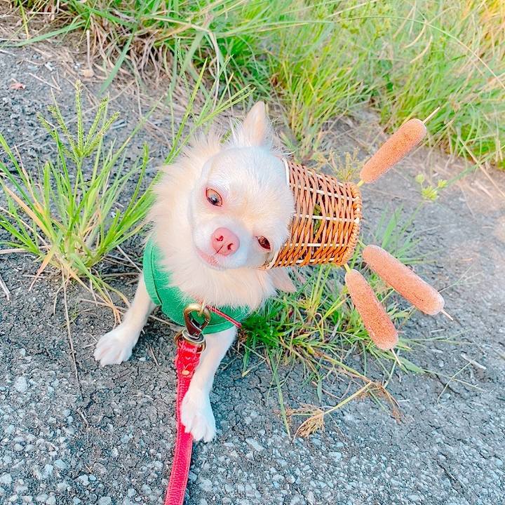 484b3906 b553 4955 a714 c522e4f5130d 1633874455444