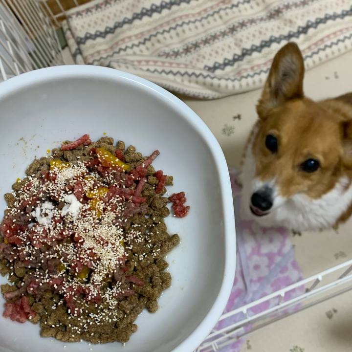 484b5d2e 186d 4277 a9cc 2ab61ccd6b4a 1709548382939