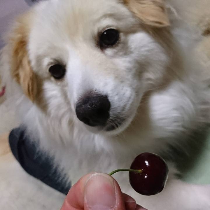 484bbb0d 32d7 4af7 88c3 8f1f1a5f217f 1537260393321