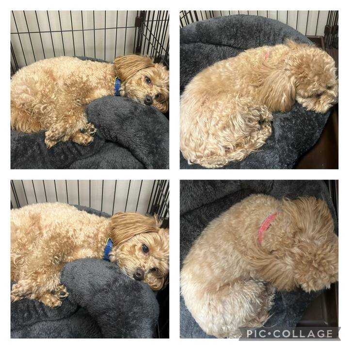 484bca5b e2c3 4aa7 af5d 59cb229c05bc 1737769496879