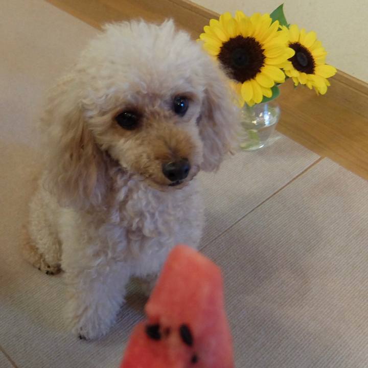 484c210e 5e27 488c 9dba ae09cf5a06dd 1627986777372