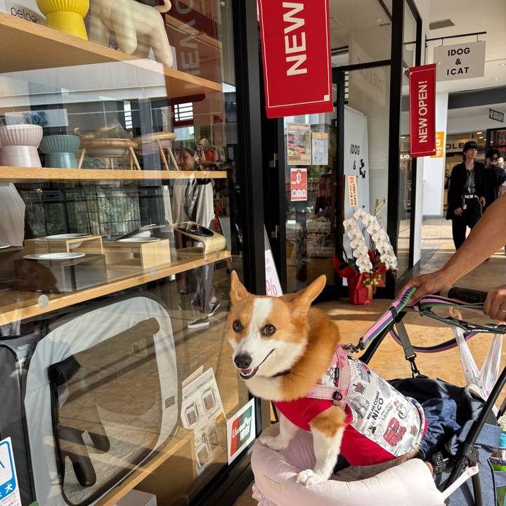 484c5de7 cf82 4cca b888 6c01eb10260e 1760762715518