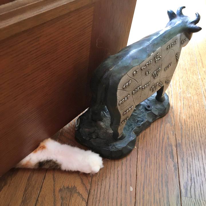 484caf63 73fa 495f b771 87255a718fc9 1573187755221