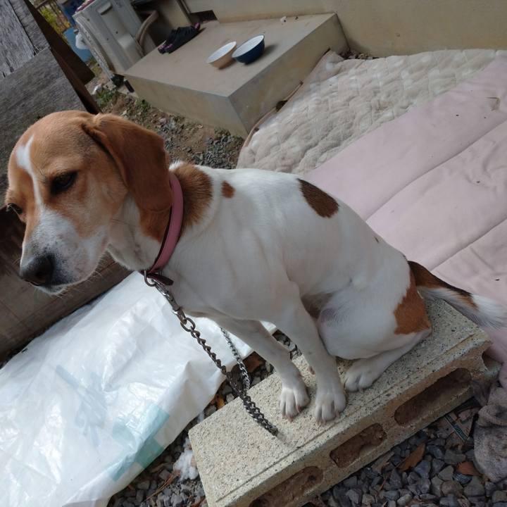 484cbb8d a776 4e8d 8229 fcef5b38862b 1583213711610