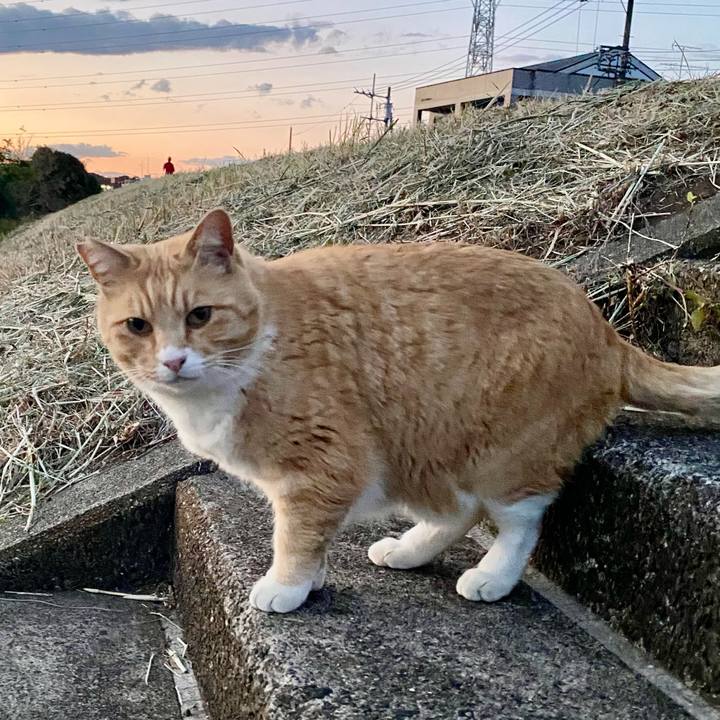 484cde18 85de 4059 a404 2bf4ccef5328 1703230092936