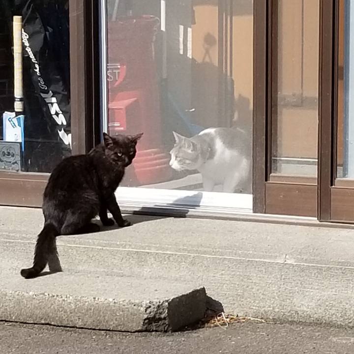 484d6815 e255 4b84 94f3 a4ec43dd72f5 1560902259923