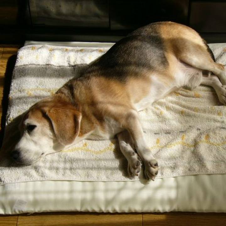 484d7ad7 add1 46a8 9bad 2171c82517ee 1669860483814