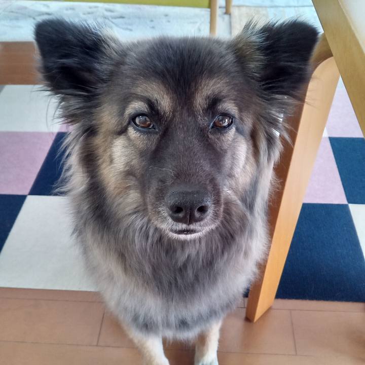 484d8eef 3730 4632 b481 88f695f3d3d9 1766887140572