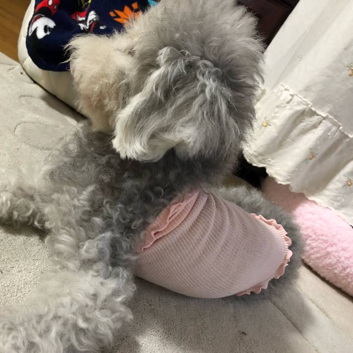 484d8fd0 eb7f 49a4 994b c50f1a9900a1 1656893923566