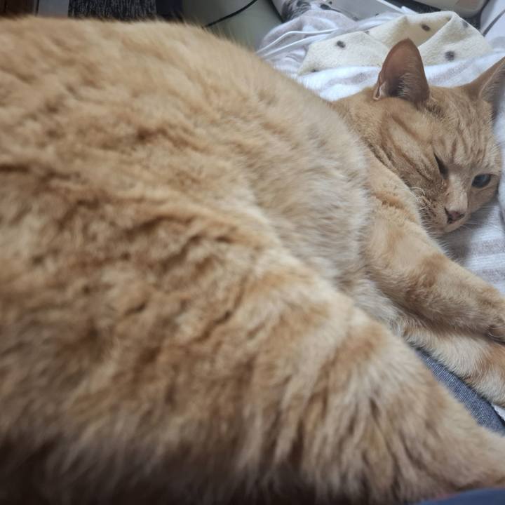 484da4c7 88f3 49aa 8c95 92c2e257b1d5 1748214878828