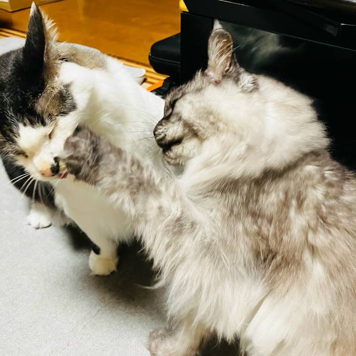 484dc36f b5ff 4ab9 816a a7a83969d918 1753229855476