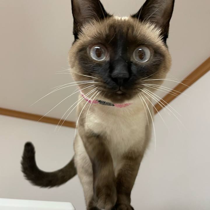 484dd64e 2710 473a b8da 95542ee46577 1713901540957