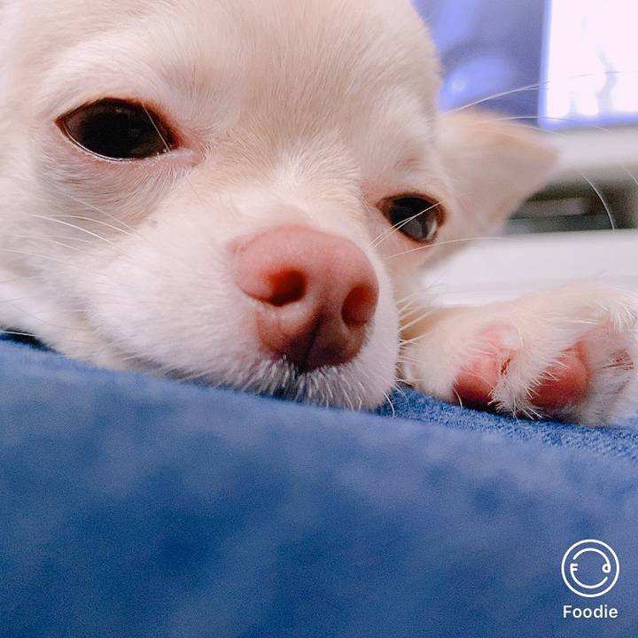 484e2671 4c1d 4f95 81e7 80c55fb99ca5 1599454123605