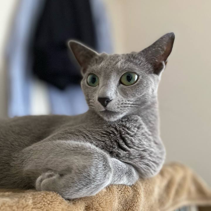 484e35e5 7460 4fce 8d0e df3f05e6f223 1656543989484