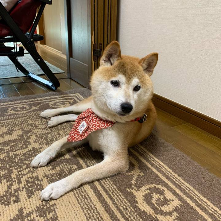 484e6664 7fa9 4516 9116 36650b92aebb 1659860793671