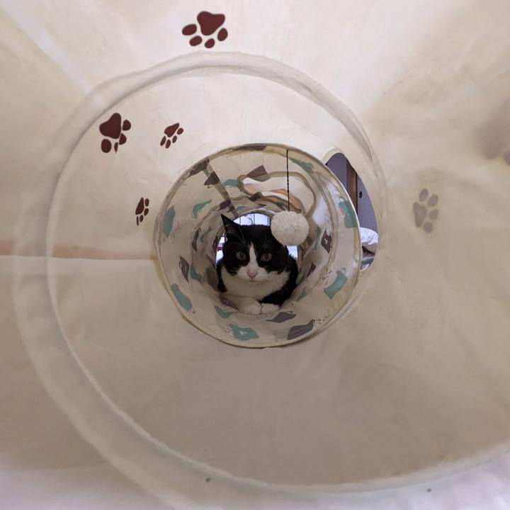 484e892f bcbc 41dd 83a5 aa5e4ee011c7 1688009217119