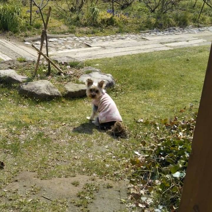 484ebdf4 c1b6 40c2 b0f7 7cb033a7d499 1552807935334