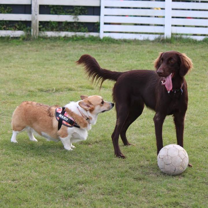 484eccb8 ad8c 493c b595 d746df16e627 1571611259529