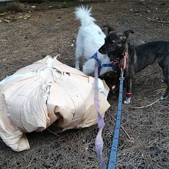 484ed3f0 c4fa 4096 980d 219a92858d3a 1572922288359