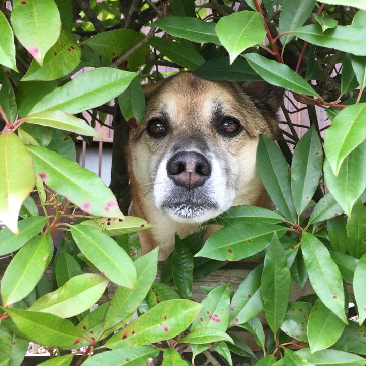 484f120e 3e70 40e8 b12c 425af2d740a8 1559602548211