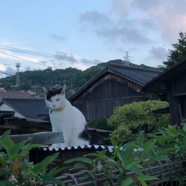 484f1a26 e486 480e ae70 b80bb6b0c7a4 1630407276322