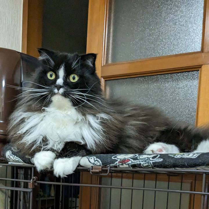 484f293b b910 421d b6c1 5285815b2ef3 1693476858101