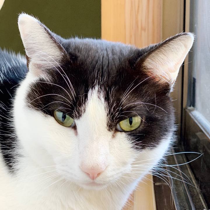 484f2aa5 d72b 4d3b ac6c b2040926aaed 1552095237285